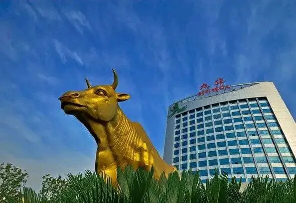 我们湘潭的“毛体字”——一个湘潭人的深情讲述