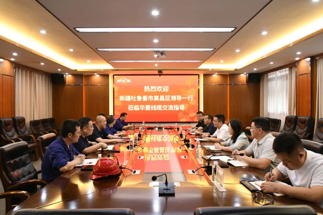 双向奔赴！湘疆联动，华菱线缆对接吐鲁番新能源产业发展新机遇