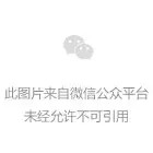 湖南荣岚亮相中国工博会，先进材料服务新型工业化与绿色低碳转型