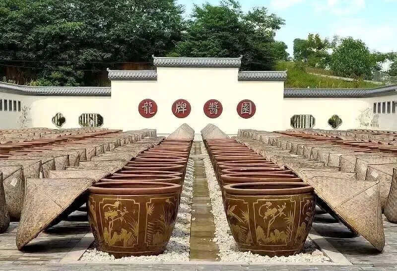 正文图片